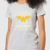 DC COMICS DC Wonder Woman Women's Christmas T-Shirt - Grey -Cheap Christmas Franchises Store 11964248 2914627067868105