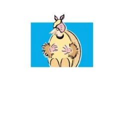 Friends Happy Holidays Men's Christmas T-Shirt - White 8 Friends Happy Holidays Men's Christmas T-Shirt - White -Cheap Christmas Franchises Store 11970157 1274627067245737